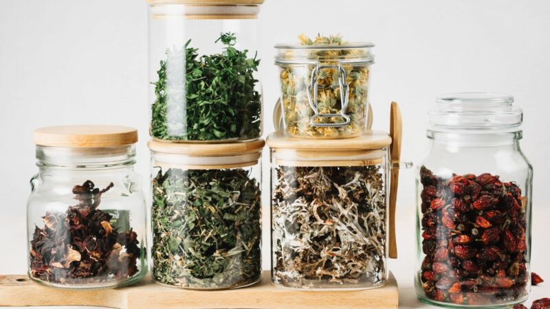free herbalism courses